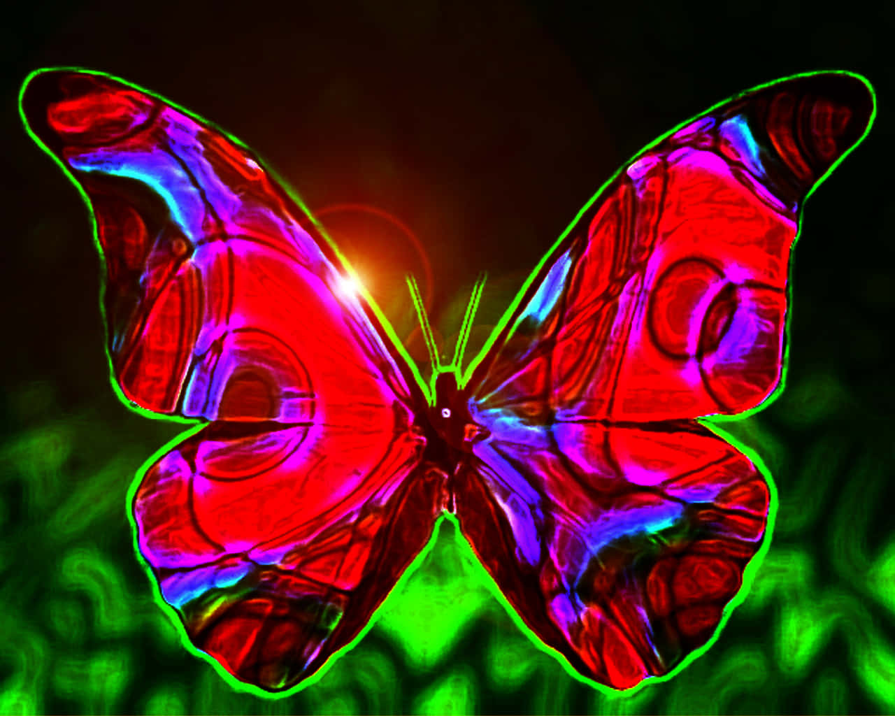 Discover the beauty of an Emerging Butterfly Wallpaper