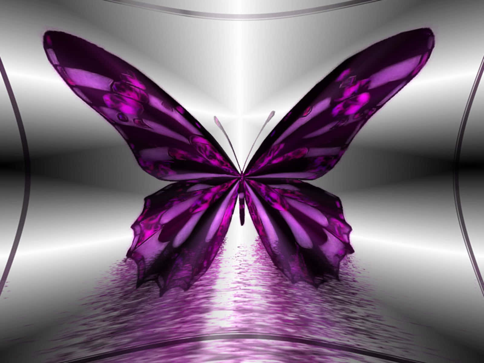 A butterfly emerges into the world and spreads its wings in wonder. Wallpaper