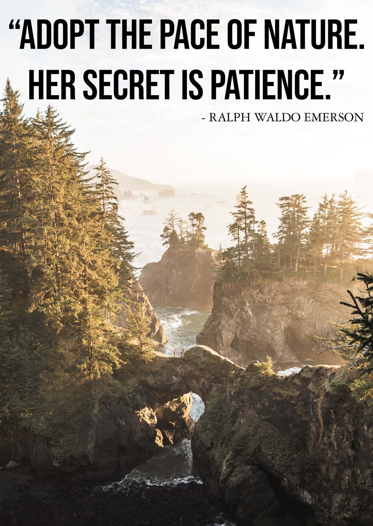 Emerson Nature Patience Quote Wallpaper