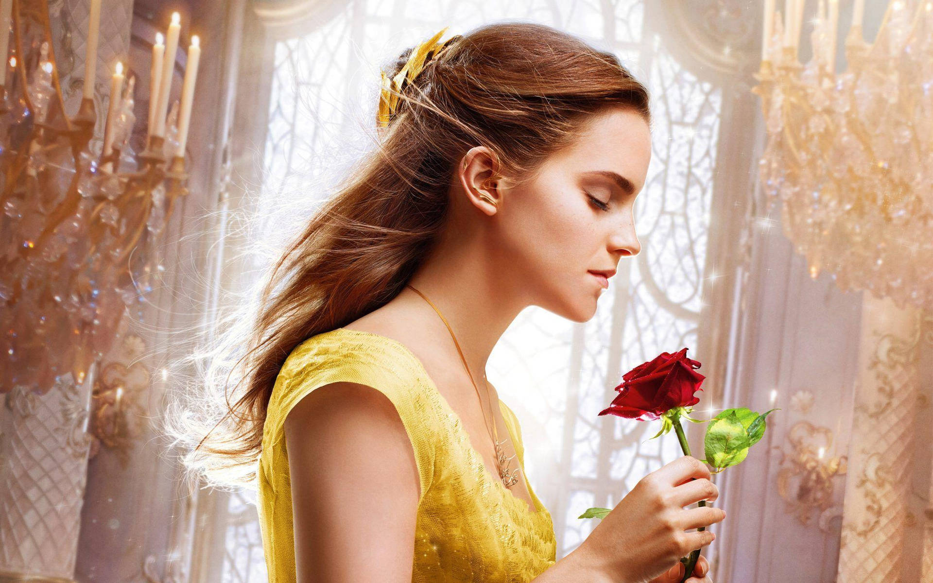 Emma Holding Beauty And The Beast Rose Wallpaper