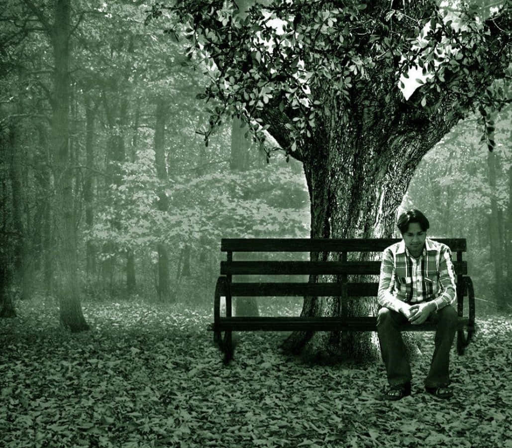 A Man Sitting On A Bench In The Woods