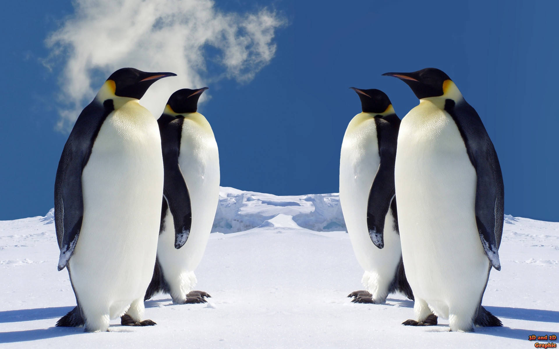 Emperor Penguin Animals On Snowy Mountain Wallpaper