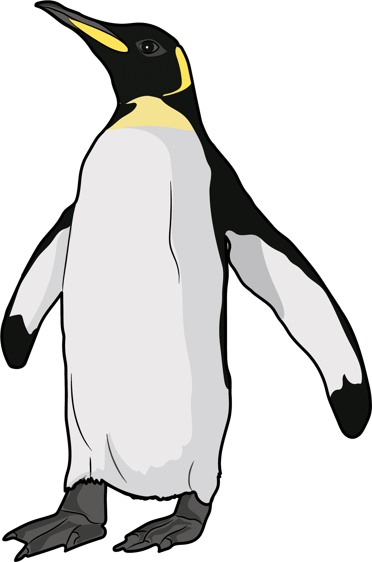 Emperor Penguin Illustration PNG