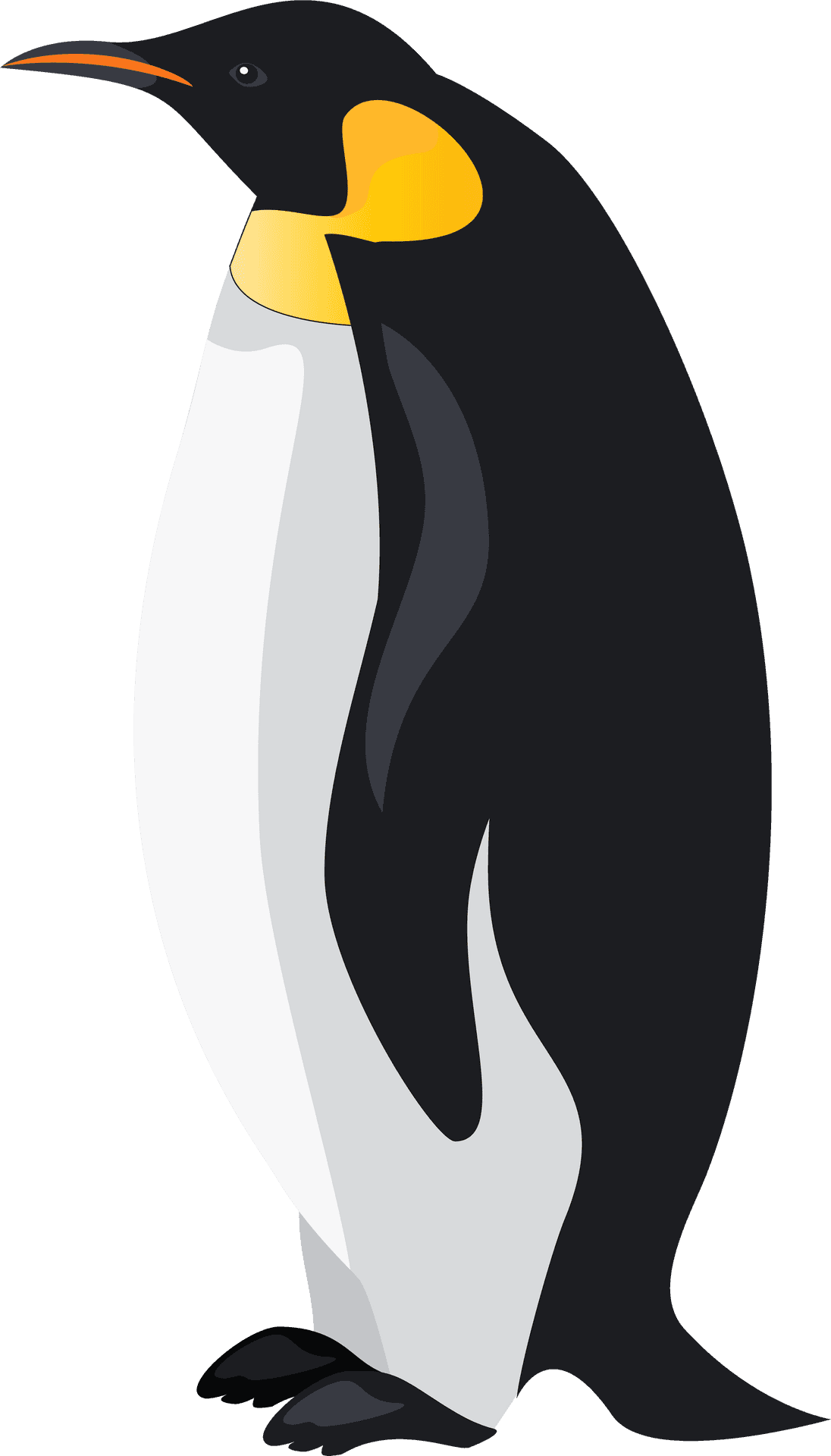 Emperor Penguin Illustration PNG