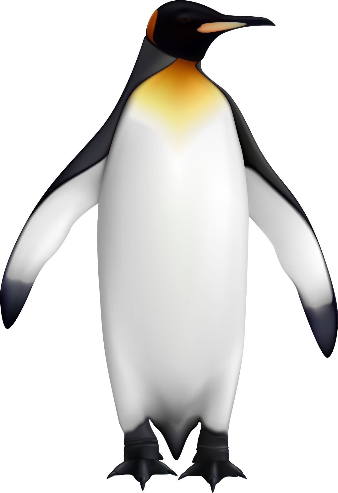 Emperor Penguin Illustration.png PNG