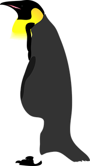 Emperor Penguin Silhouette PNG