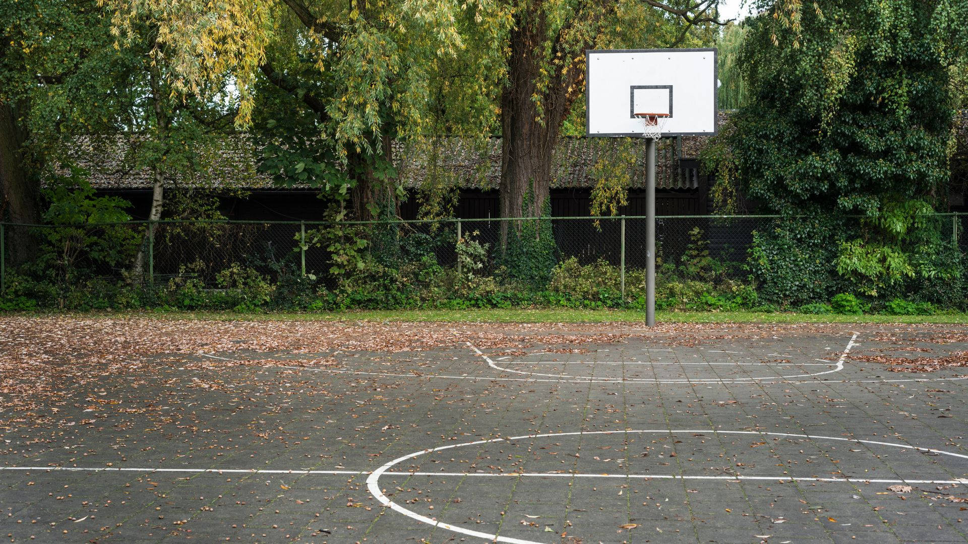 Øde forladt basketballbane Wallpaper
