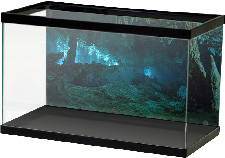 Empty Aquarium Setup PNG