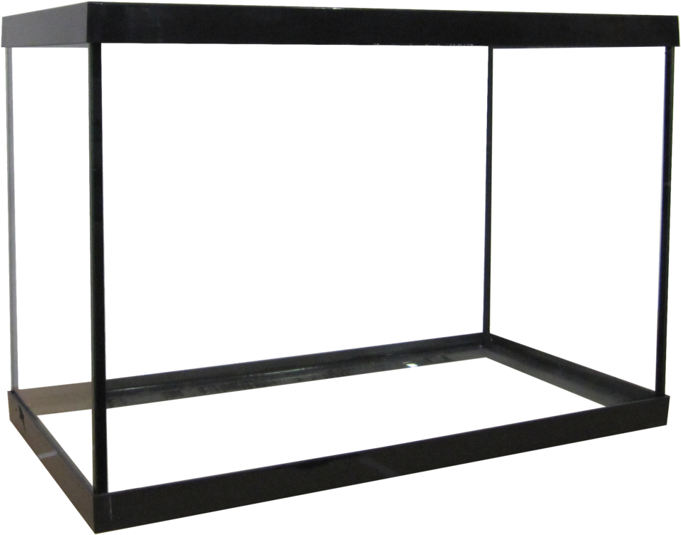 Empty Aquarium Tank PNG