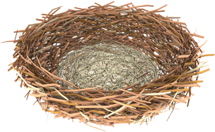 Empty Bird Nest Isolated PNG