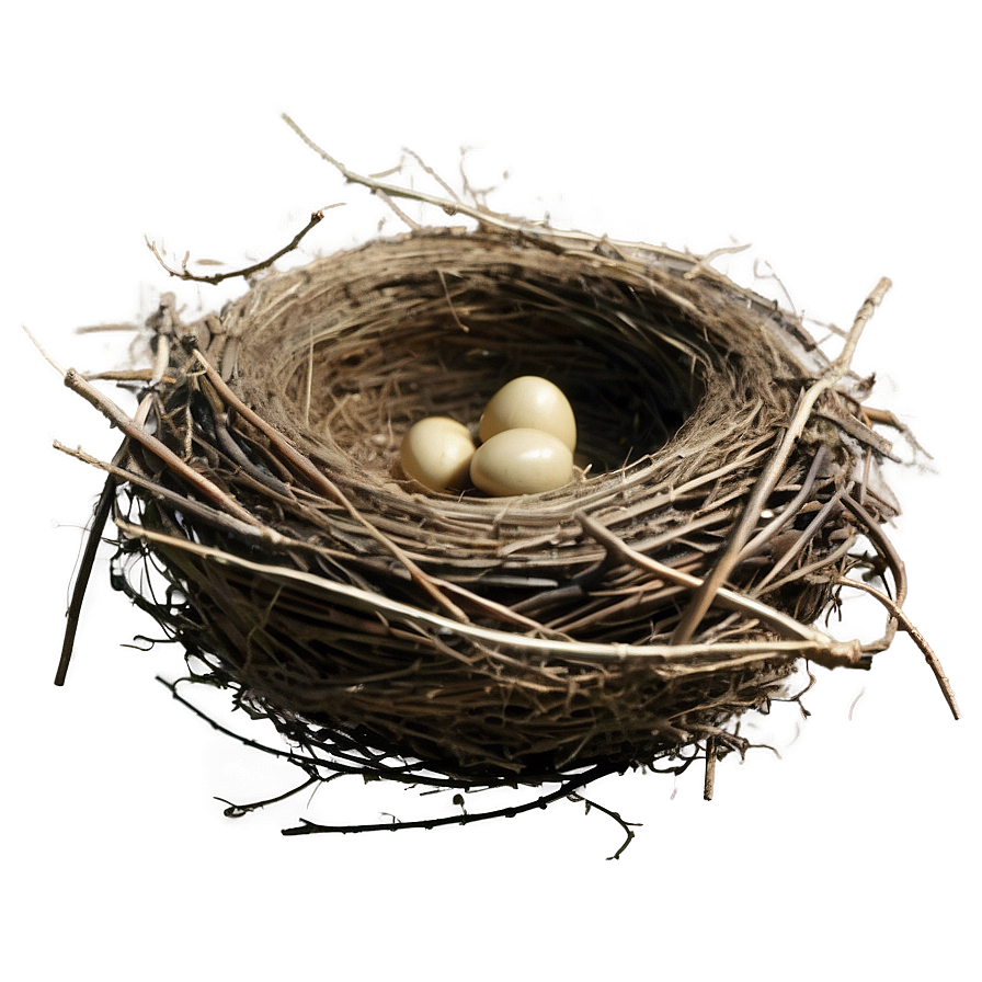 Empty Bird Nest Png 05252024 PNG