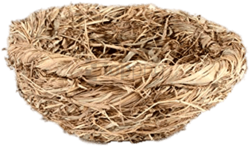 Empty Bird Nest Texture PNG