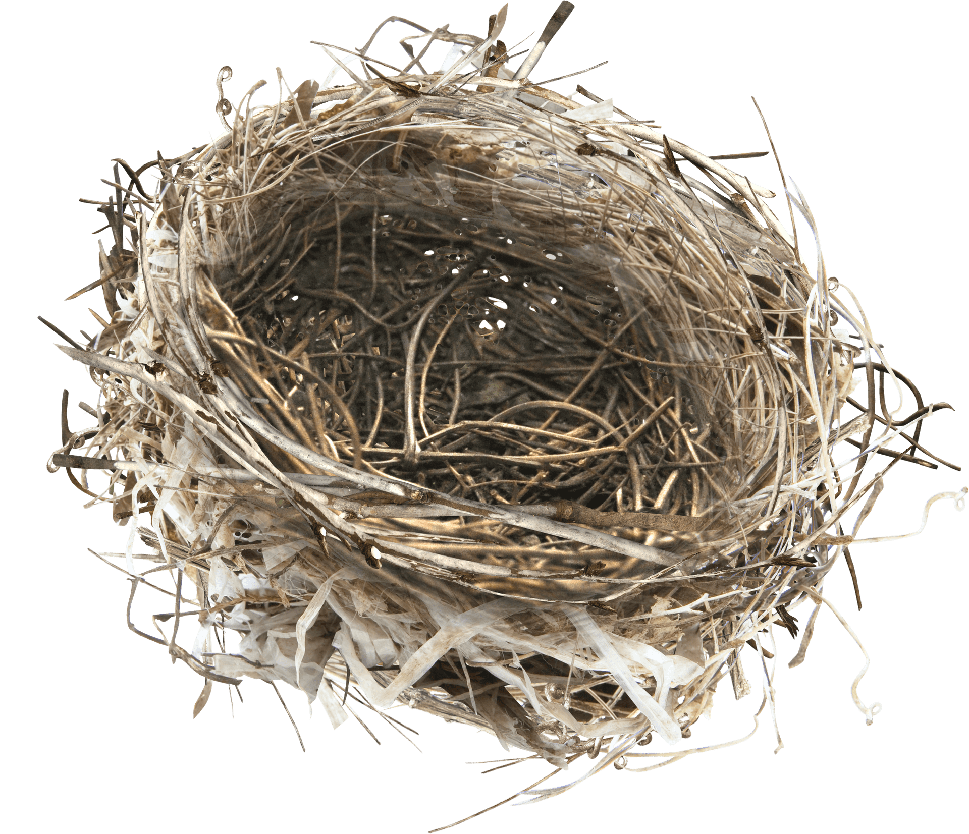 Empty Bird Nest Top View PNG