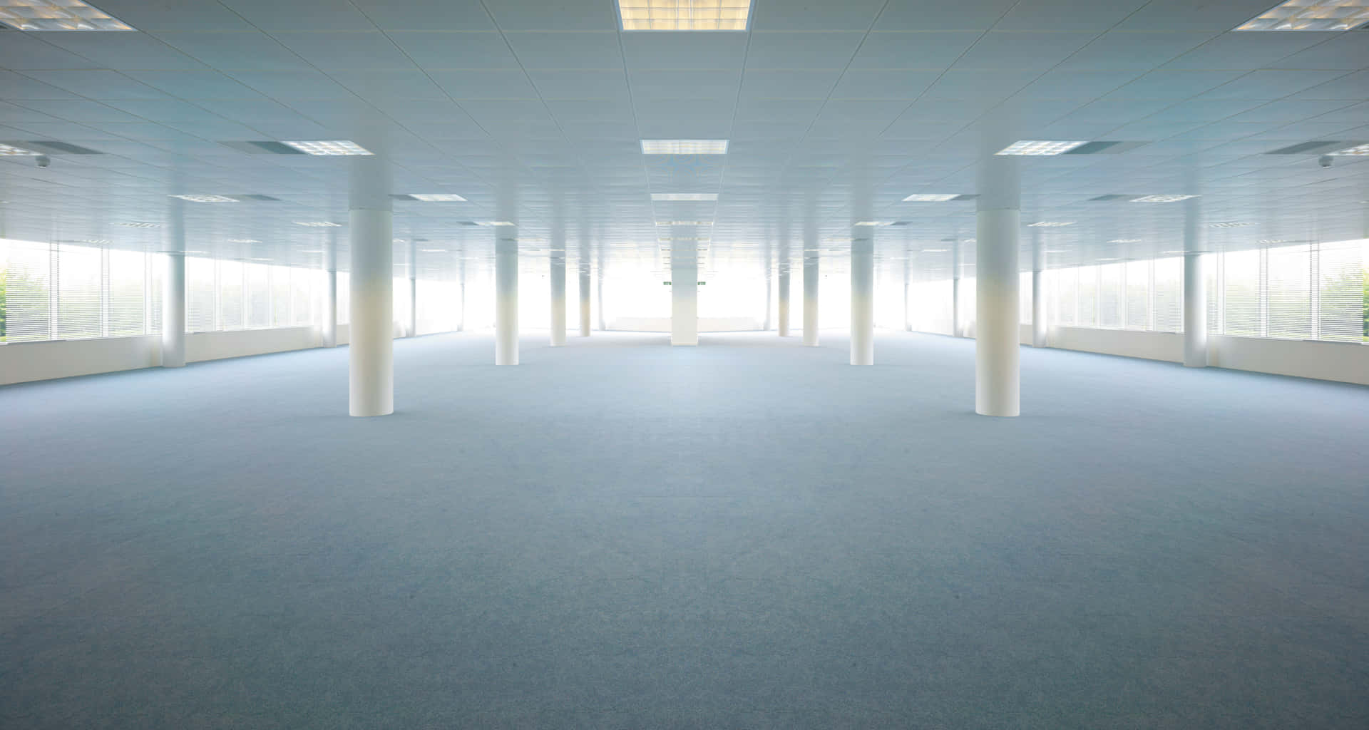 Empty Office With Blue Carpet