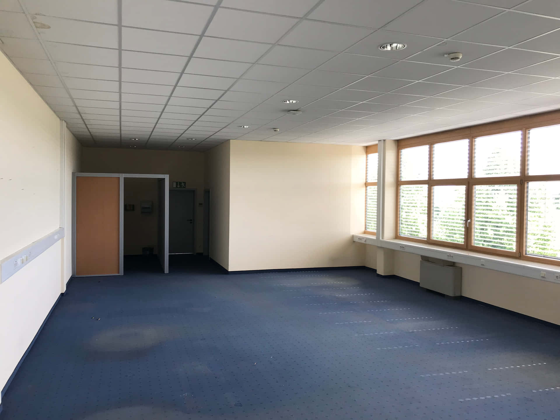 Empty Office With Blue Carpet And Windows