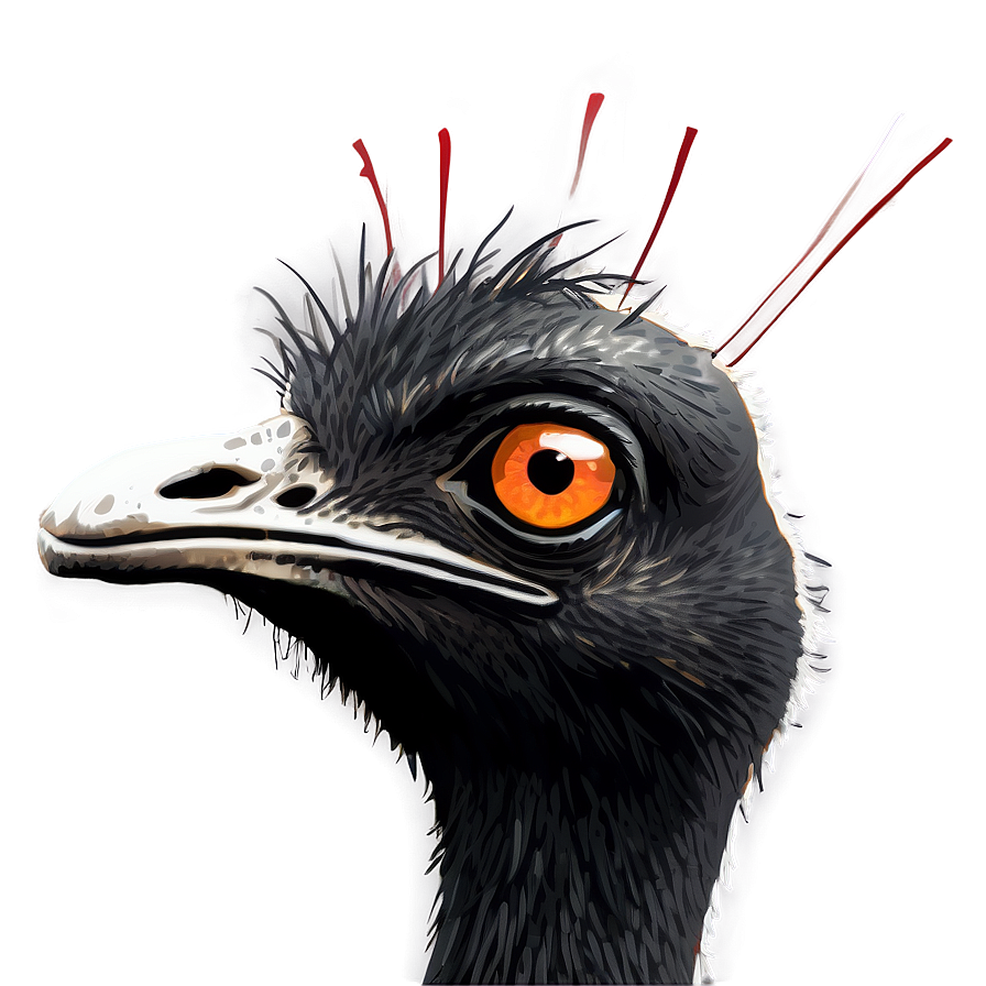 Emu Head Png 06252024 PNG