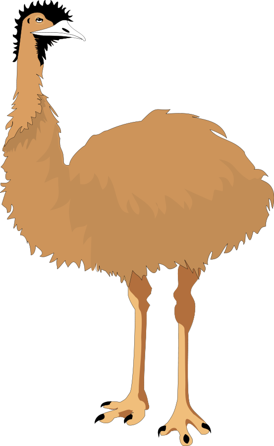 Emu Vector Illustration PNG