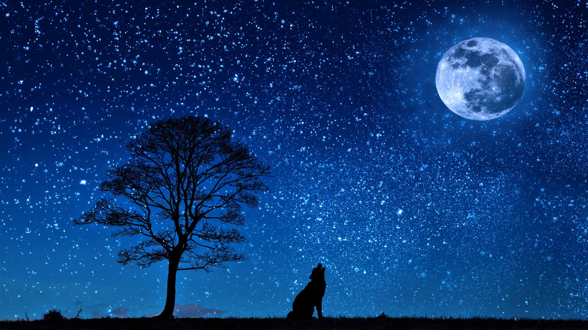 Encantadorpaisaje Nocturno De La Luna Y Las Estrellas