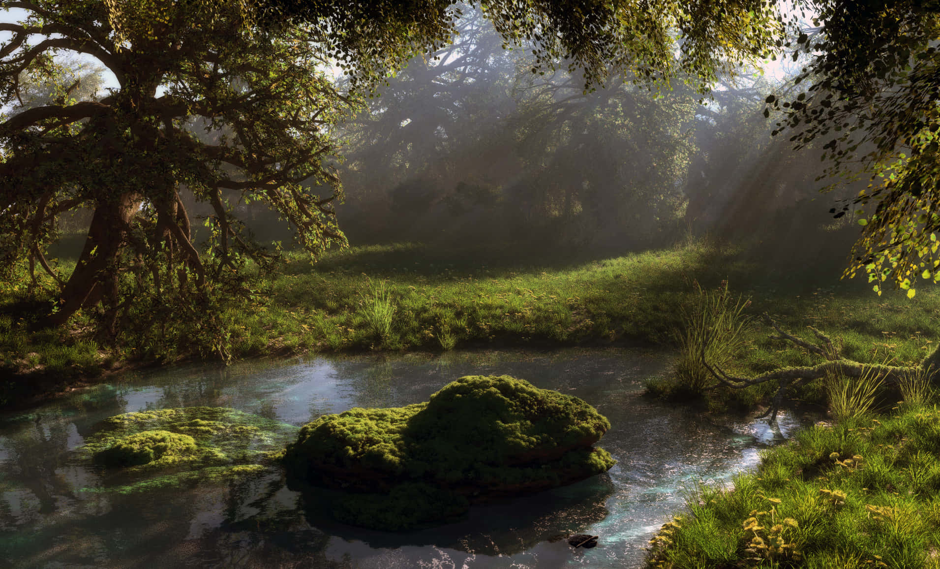 Enchanted And Mysterious Pond Wallpaper