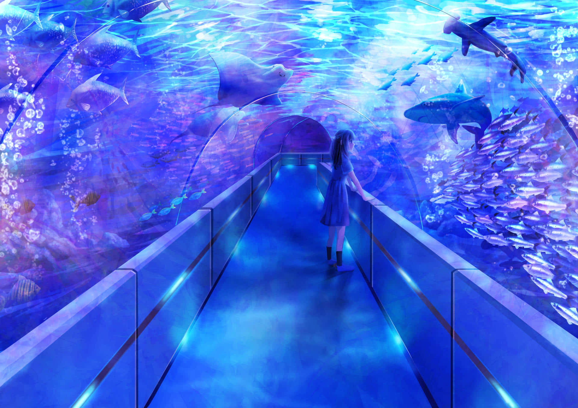 Enchanted Aquarium Experience.jpg Wallpaper