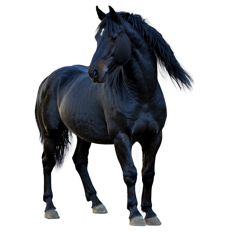 Enchanted Black Horse Magic Png 06262024 PNG