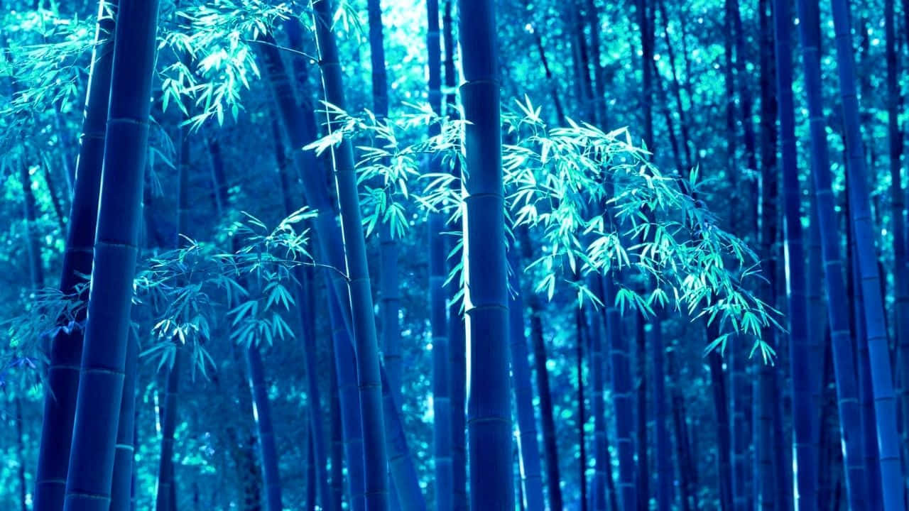 Enchanted_ Blue_ Bamboo_ Forest_ H D Wallpaper