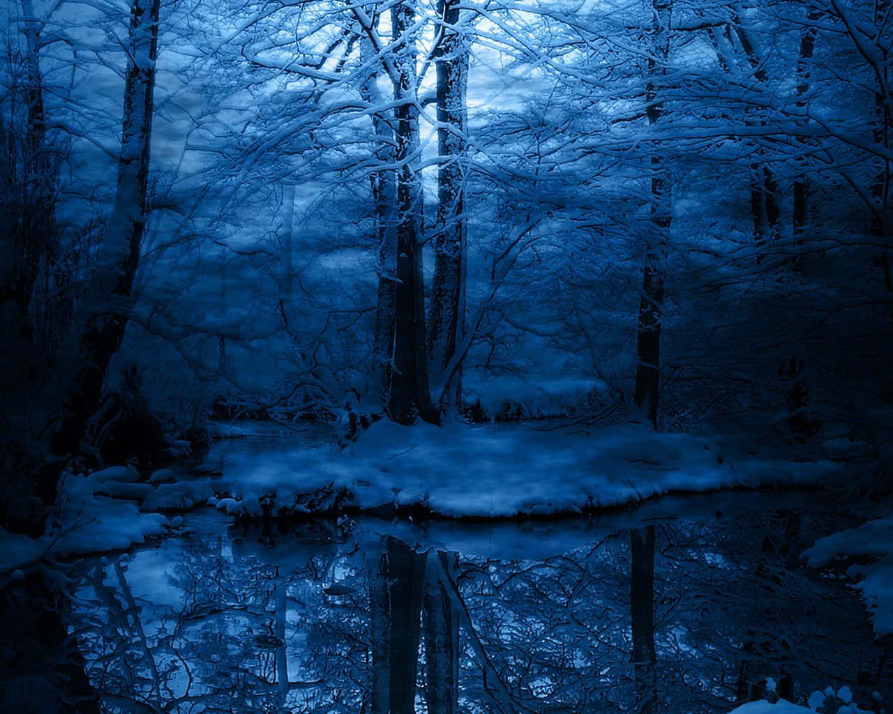 Enchanted Blue Forest Winter Night Wallpaper