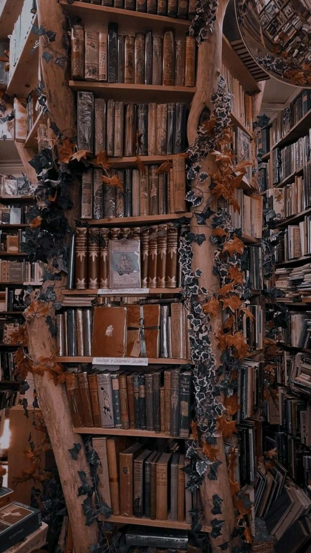 Enchanted_ Book_ Nook.jpg Wallpaper