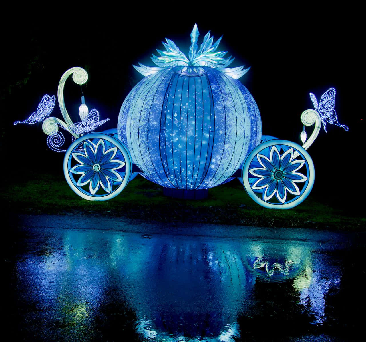 Enchanted Cinderella Carriage Lantern Wallpaper