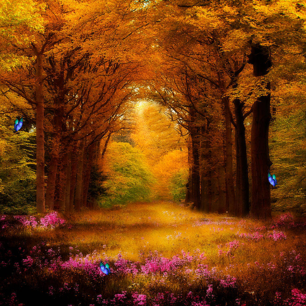 Enchanted Forest Covered In Fall Foliage Wallpaper