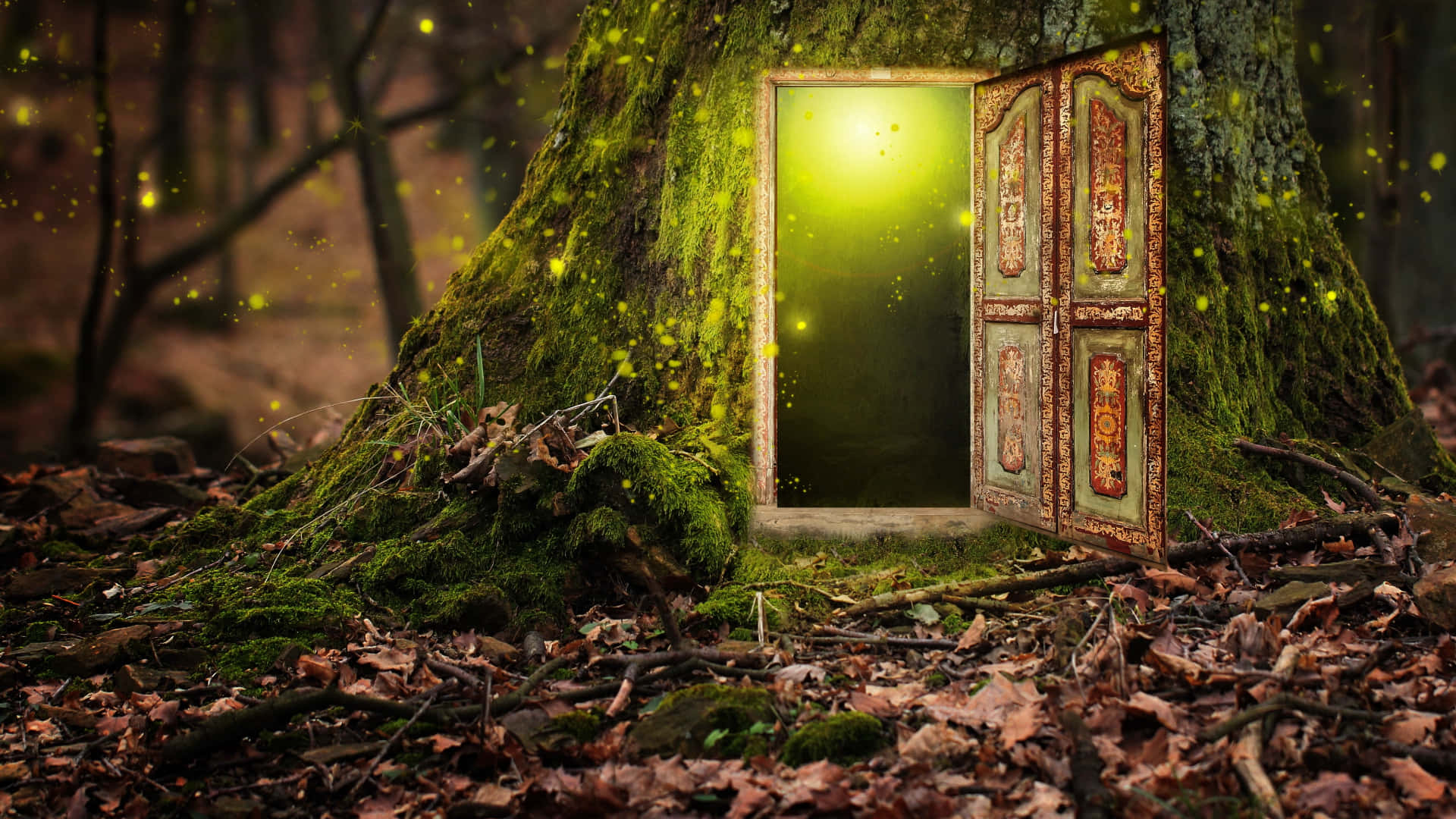 Download Enchanted Forest Doorway Wallpaper | Wallpapers.com