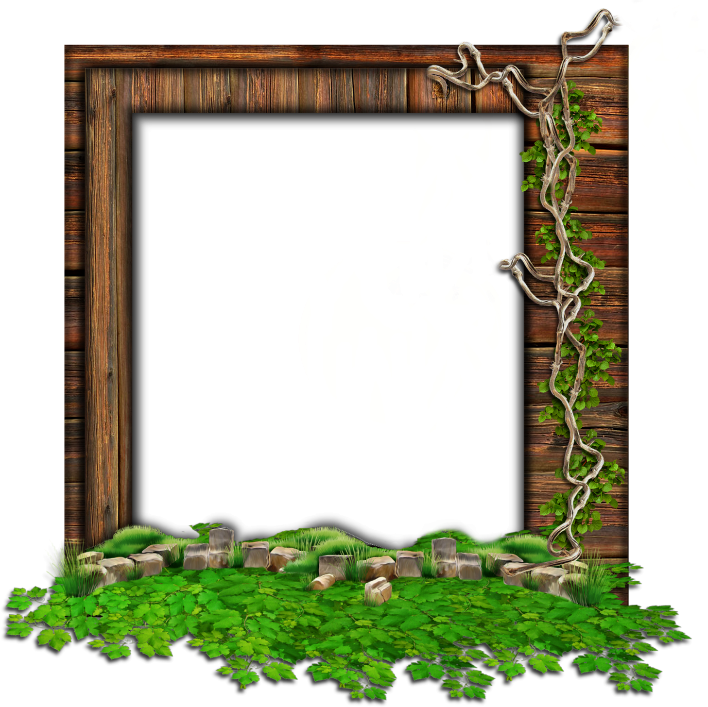 Enchanted Forest Frame PNG