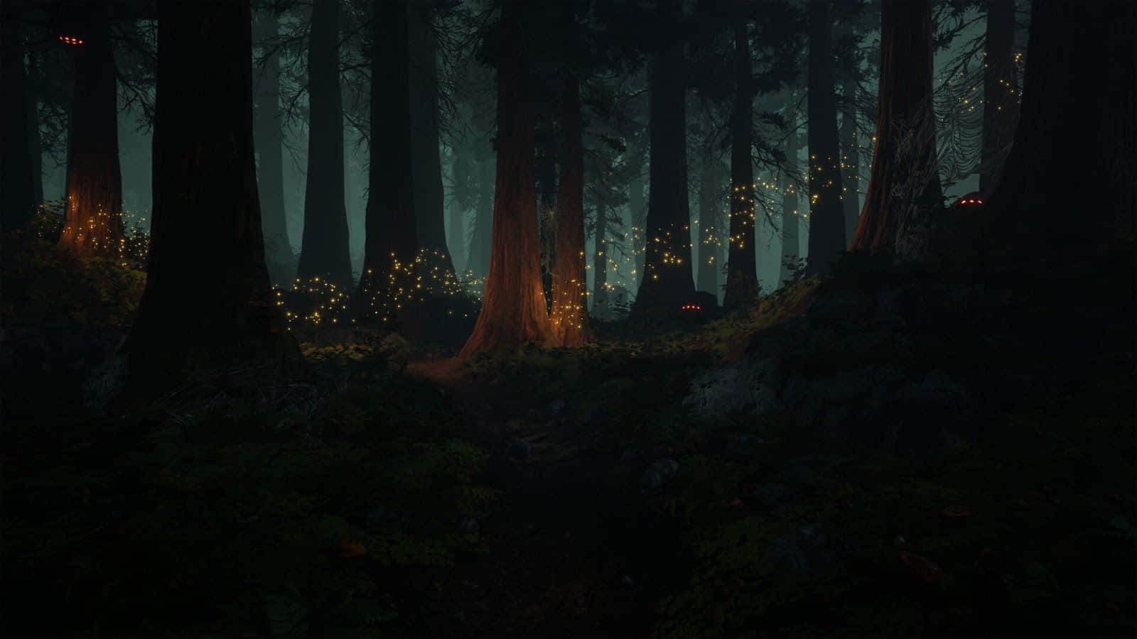 Enchanted_ Forest_ Glowing_ Lights.jpg Wallpaper