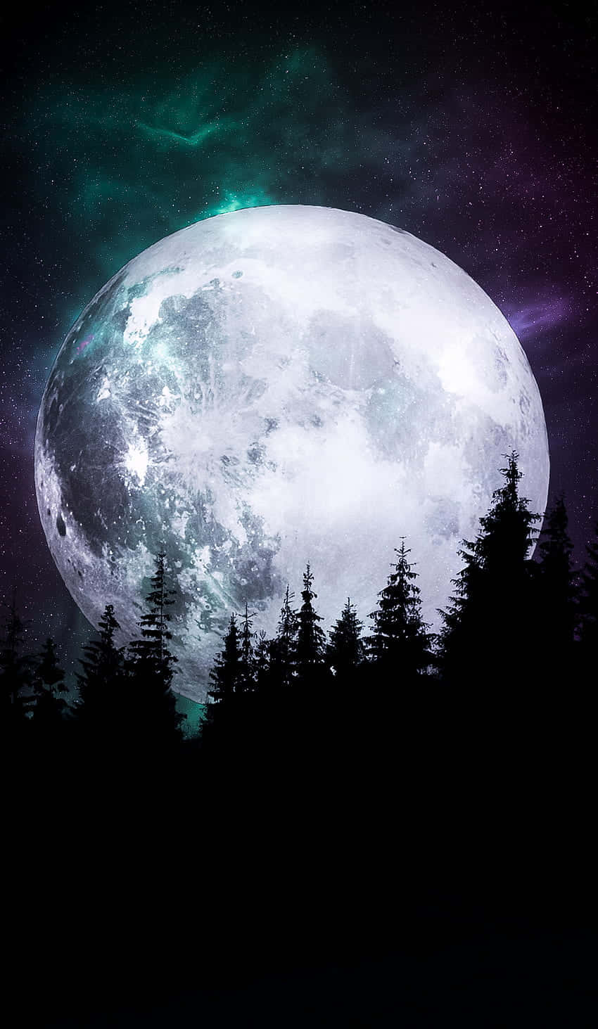Enchanted_ Forest_ Moonrise Wallpaper