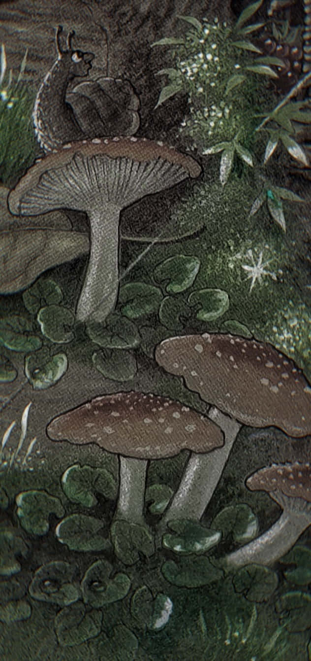 Enchanted Forest Mushrooms Wallpaper