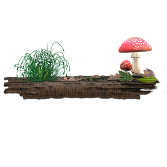 Enchanted Forest Mushrooms PNG