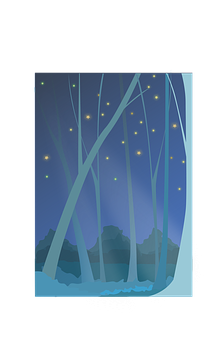 Enchanted Forest Night Scene PNG
