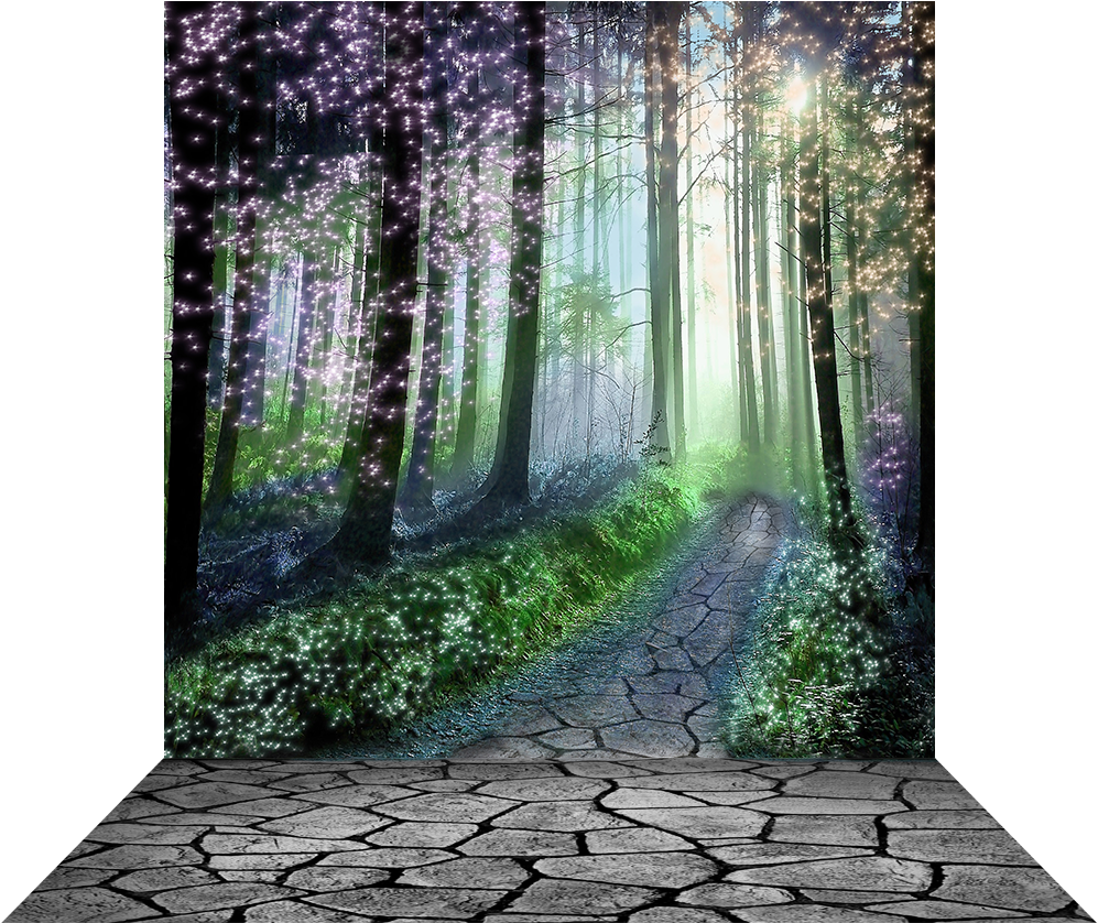 Enchanted Forest Pathway PNG
