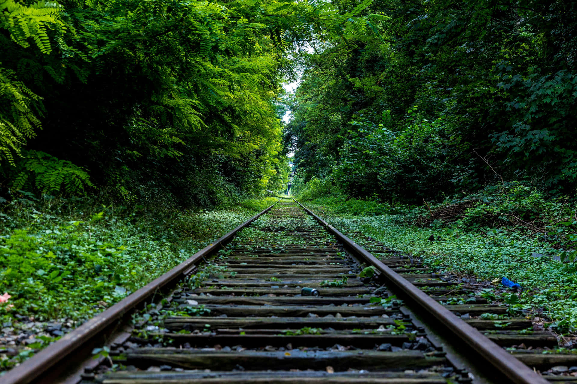 Enchanted Forest Railway Path.jpg Wallpaper