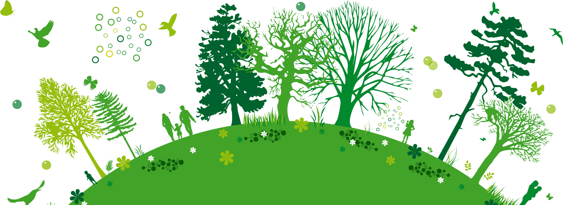 Enchanted Forest Silhouette PNG