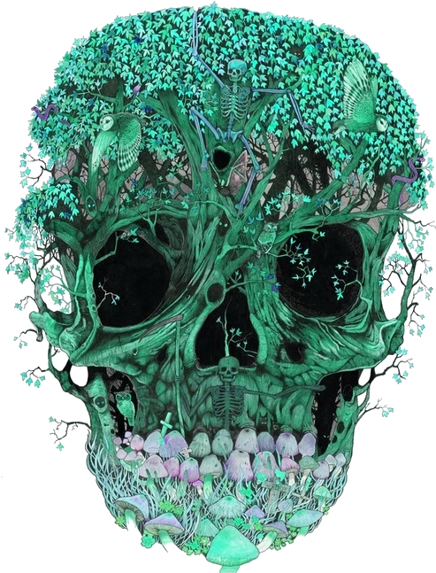 Enchanted Forest Skull Artwork PNG
