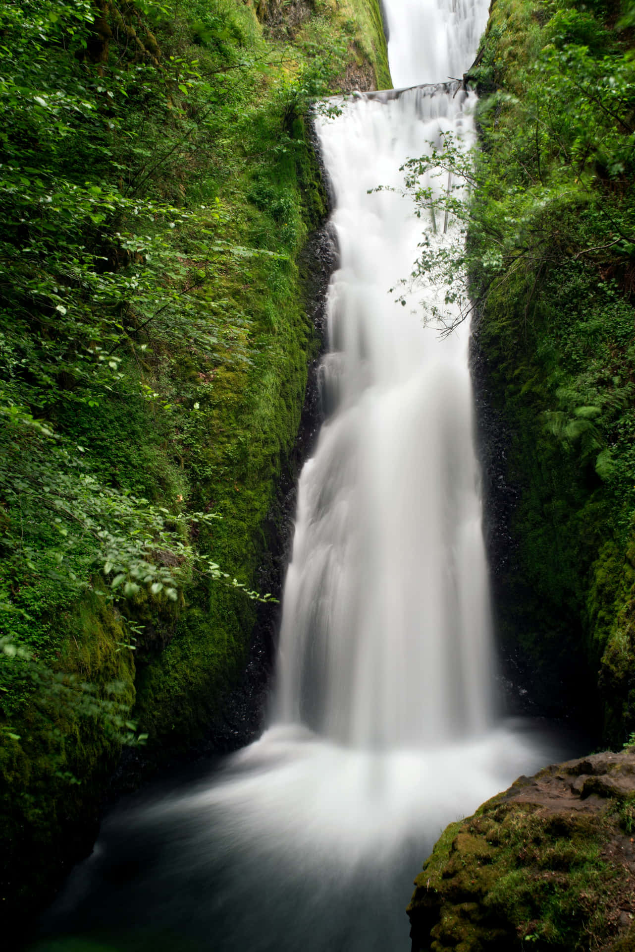 Enchanted_ Forest_ Waterfall.jpg Wallpaper