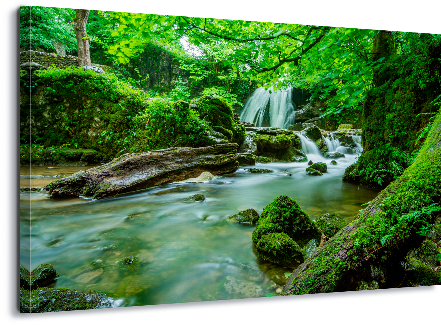 Enchanted Forest Waterfall Scene PNG