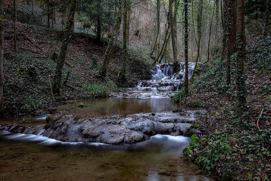 Enchanted_ Forest_ Waterfall_ Stream Wallpaper