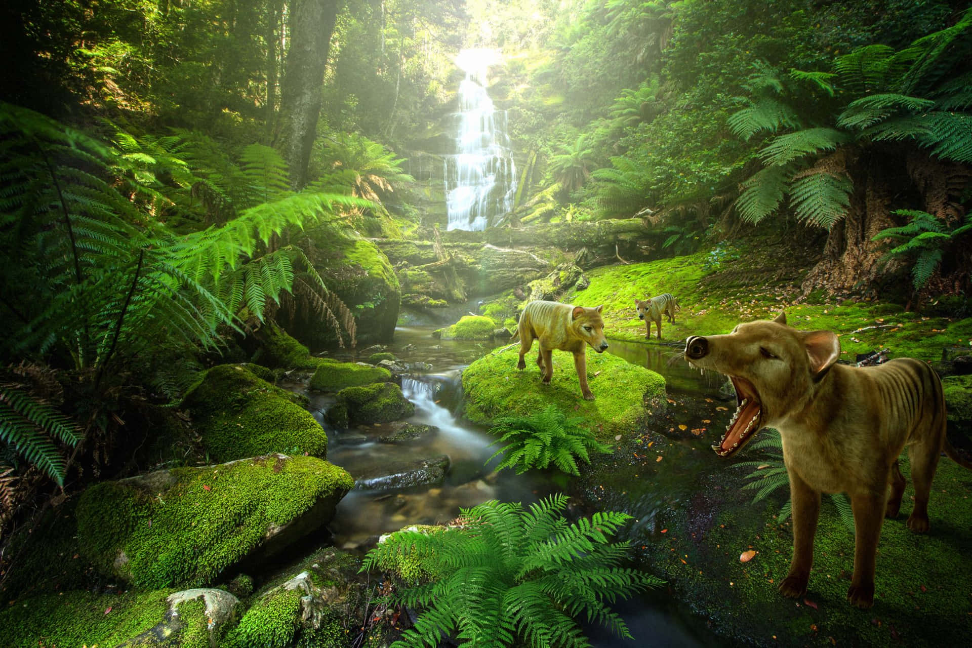 Enchanted Forestwith Tasmanian Tigers Wallpaper