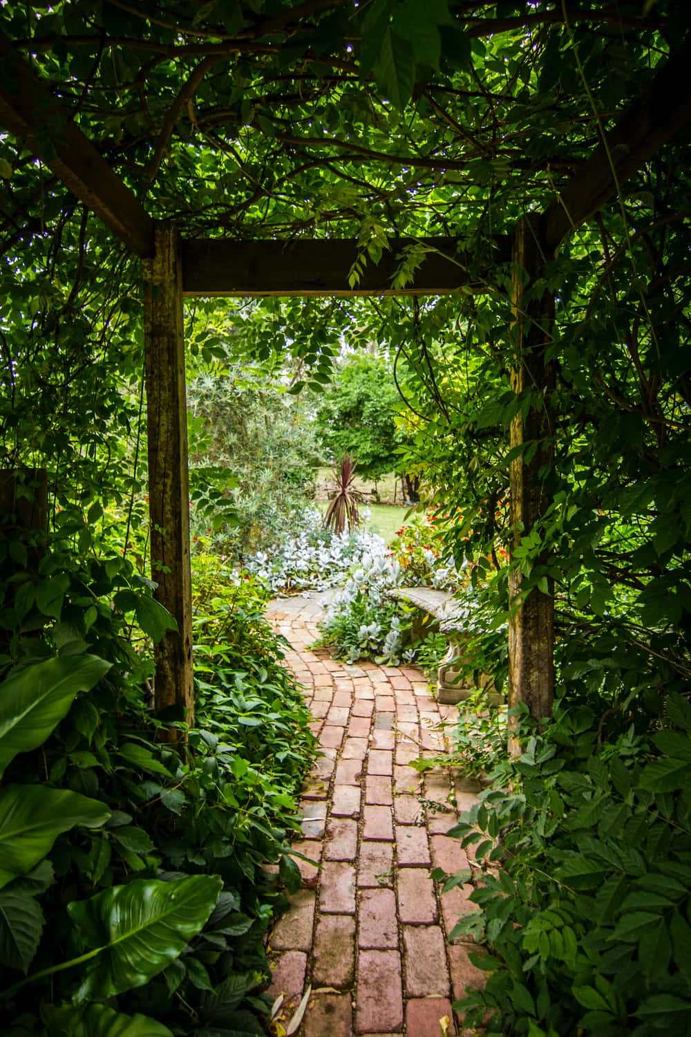 Enter the Enchanted Garden Wallpaper