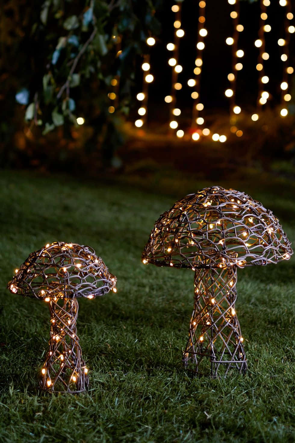 Enchanted Garden Mushroom Lights Wallpaper
