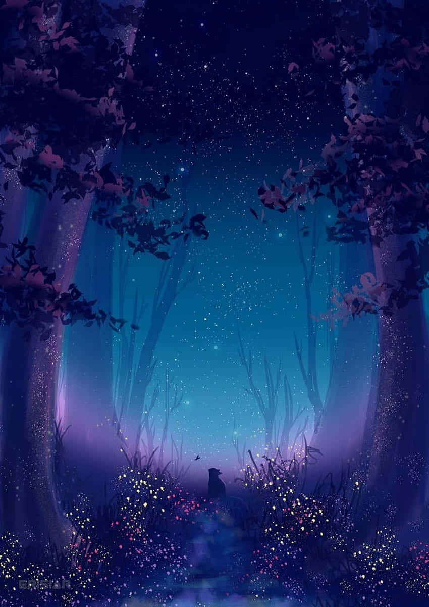 Enchanted_ Night_ Forest_ Glade Wallpaper