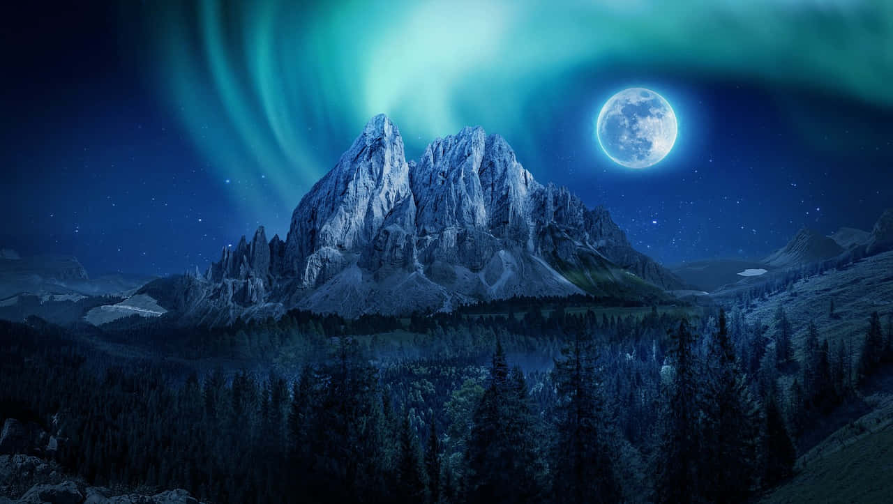 Enchanted Night Under Blue Moon Wallpaper