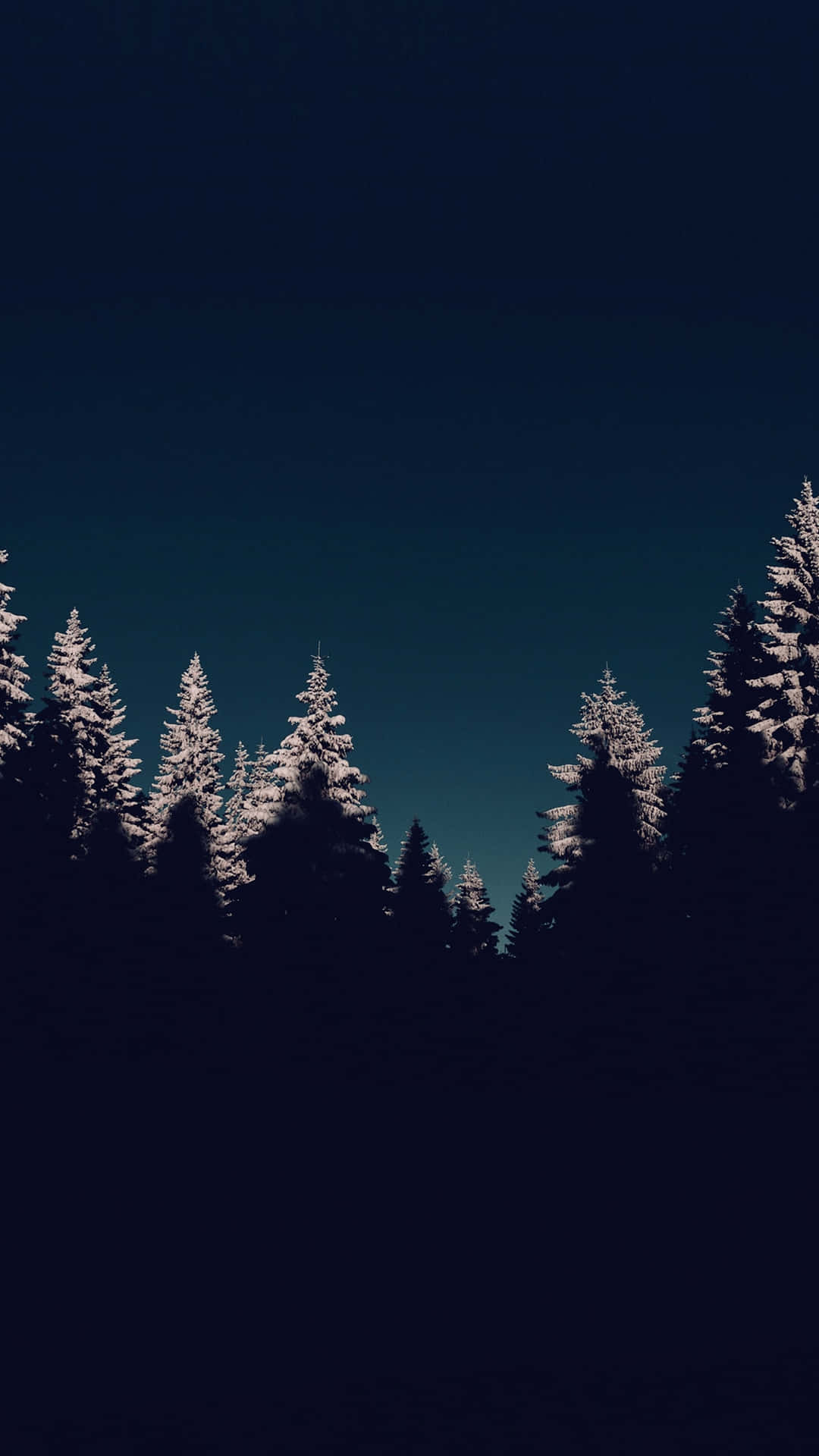 Enchanted_ Nighttime_ Forest_ Snowscape Wallpaper